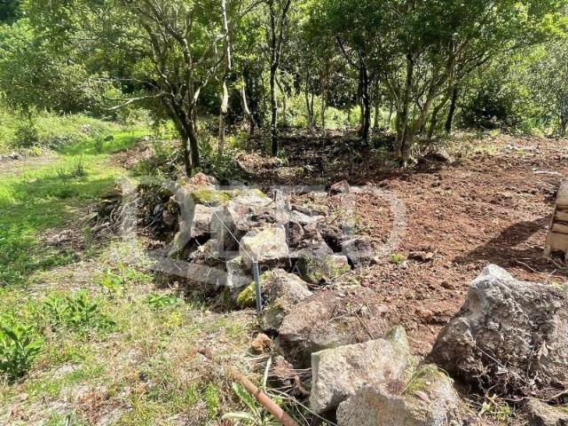 Terreno venda em Porto Moniz