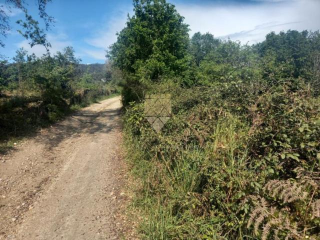 Terreno venda em Bitarães, Porto
