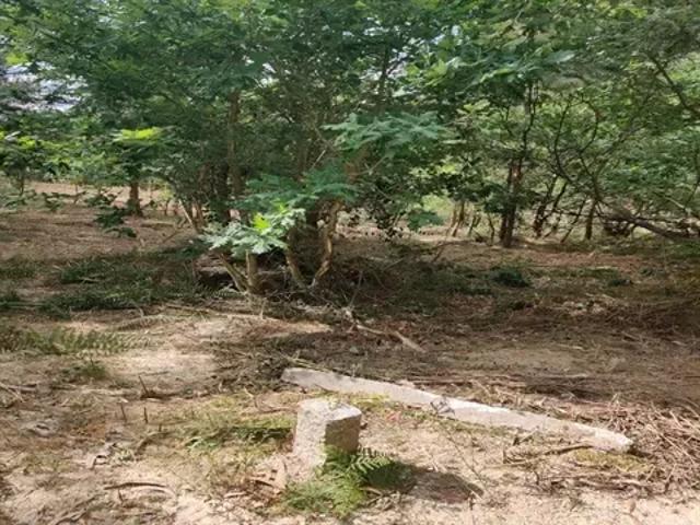 Terreno venda em Porto