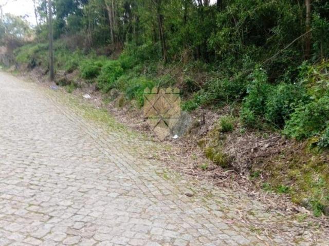Terreno venda em Anho Bom, Marecos