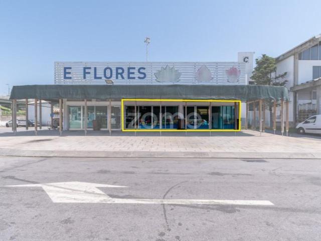 Ponto Comercial alugar em Porto