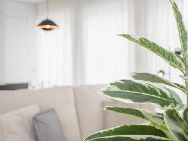 Apartamento alugar em Porto, Cedofeita