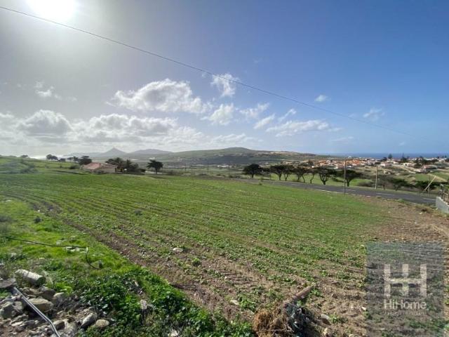 Terreno venda em Farrobo, Porto Santo