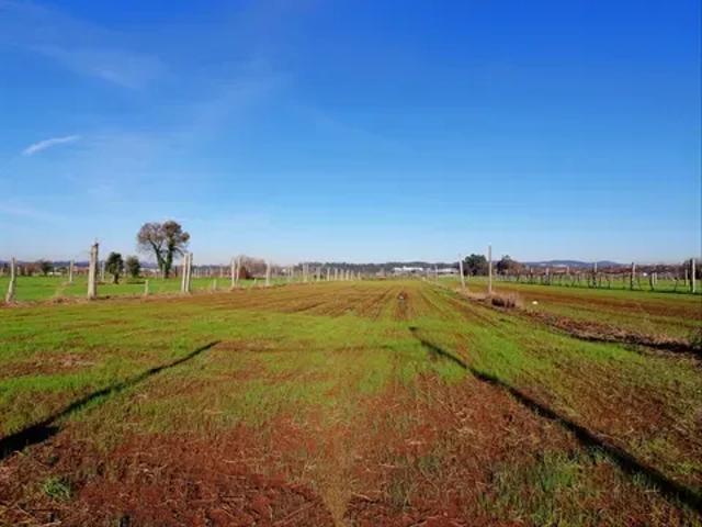 Terreno venda em Porto