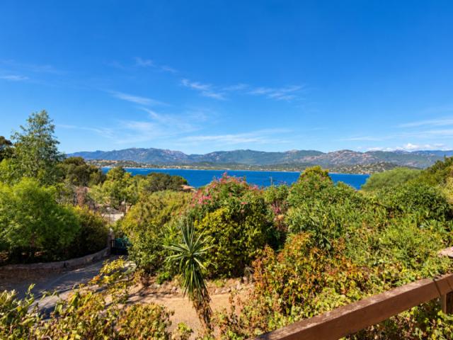 Maison vente à Porto-Vecchio, Corse-du-Sud