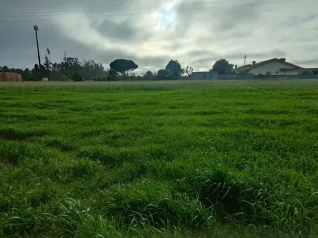 Terreno venda em Vila Do Conde, Porto