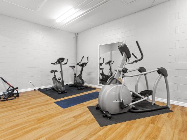 Apartment for rent in Kingston, Ontario