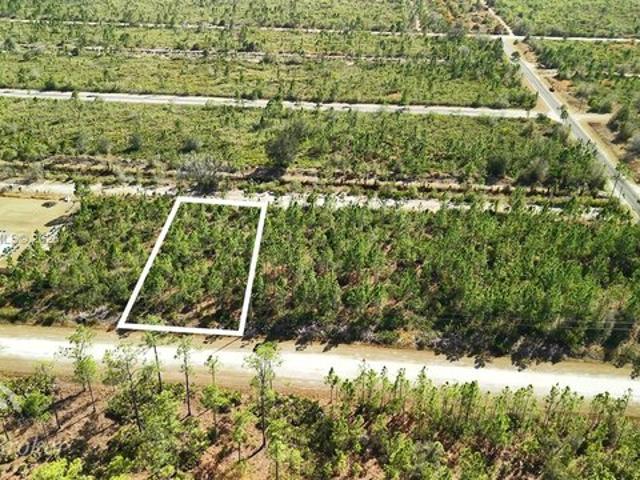 Land for sale in Polk, Texas