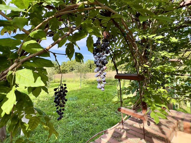 Casa in vendita a Il Poggio, Città Della Pieve