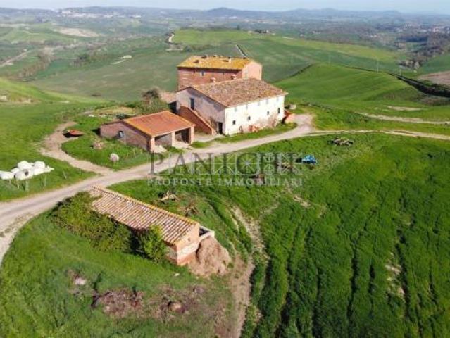 Terreno in vendita a Asciano, Toscana