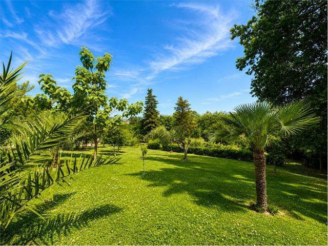 Villa Indipendente in affitto a Marche, Ancona