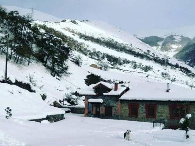 Casa en alquiler en Lena