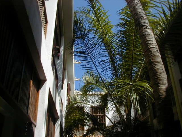 Propiedad en venta en Nueva Esparta