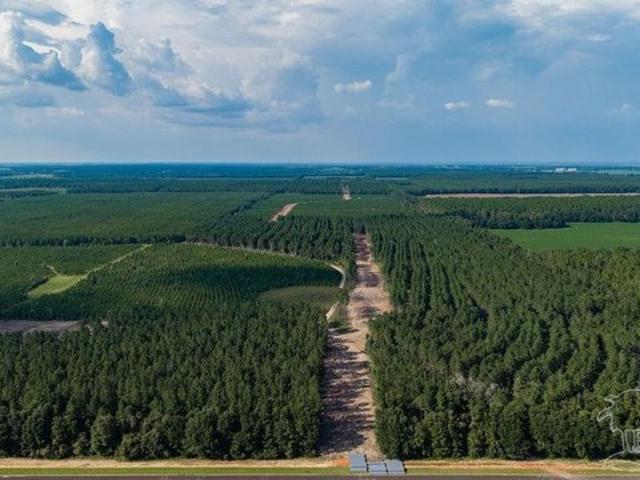 Land for sale in Milton, Santa Rosa County