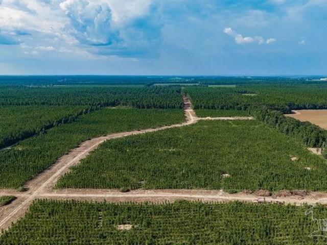 Land for sale in Milton, Santa Rosa County