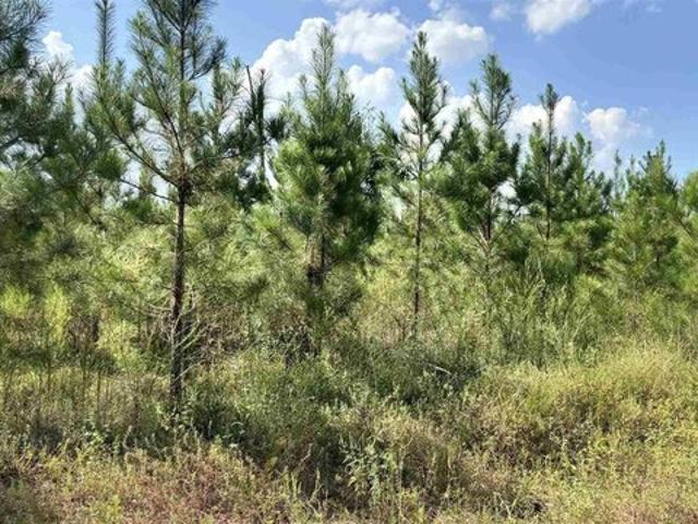 Land for sale in Milton, Santa Rosa County