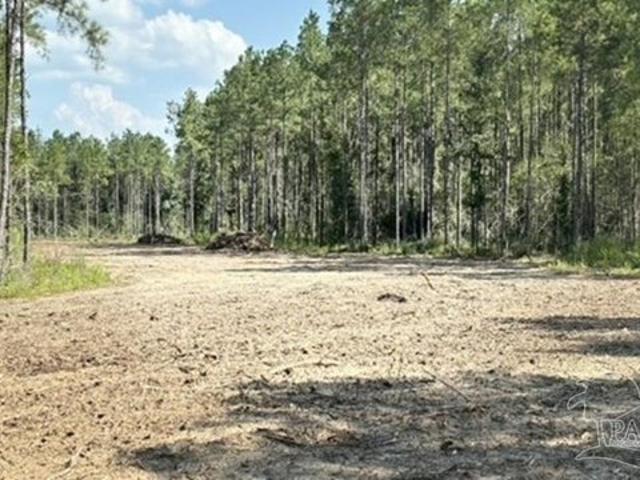 Land for sale in Milton, Santa Rosa County
