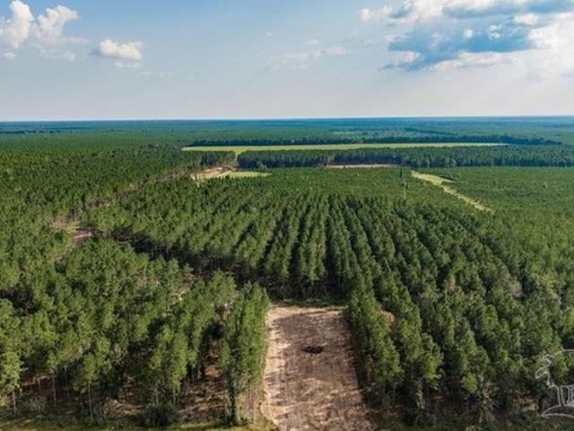 Land for sale in Milton, Santa Rosa County