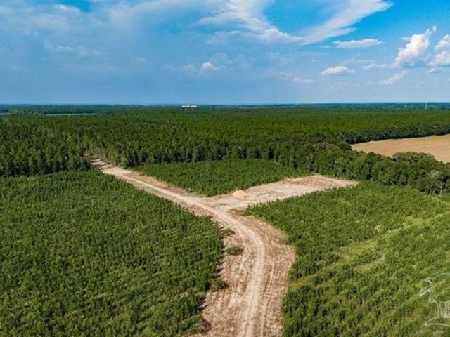 Land for sale in Milton, Santa Rosa County