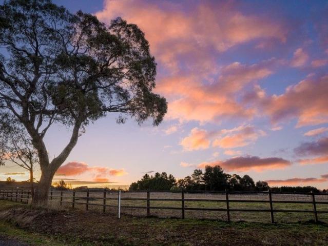 Cottage for sale in Orange, New South Wales