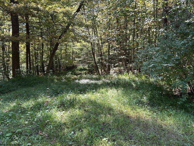 Land for sale in Terra Alta, West Virginia