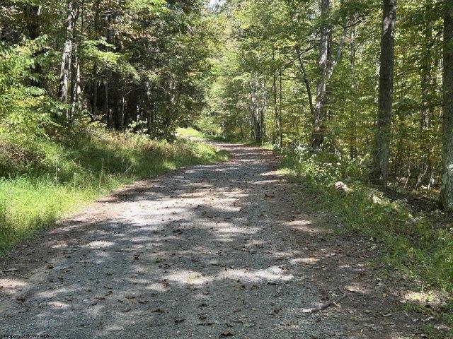 Land for sale in Terra Alta, West Virginia