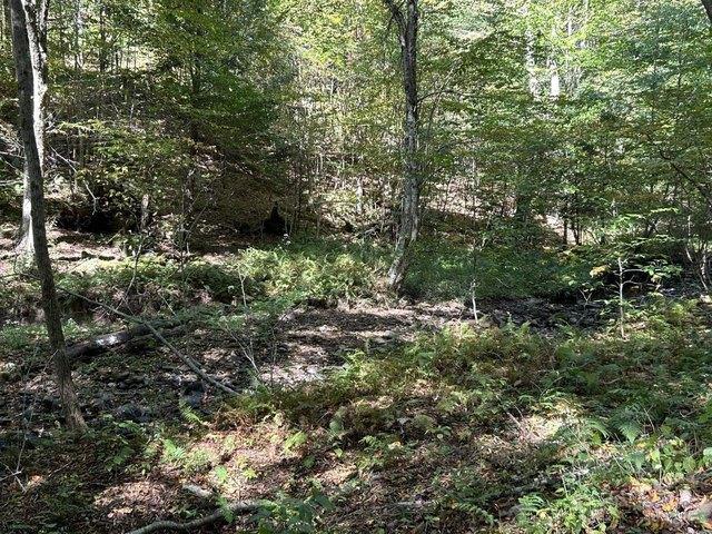 Land for sale in Terra Alta, West Virginia