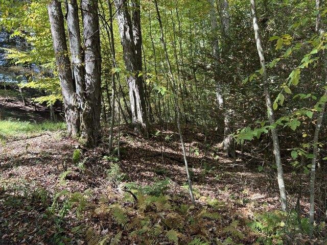 Land for sale in Terra Alta, West Virginia