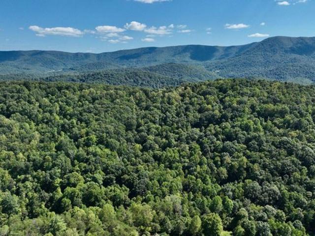 Land for sale in Oakvale, West Virginia