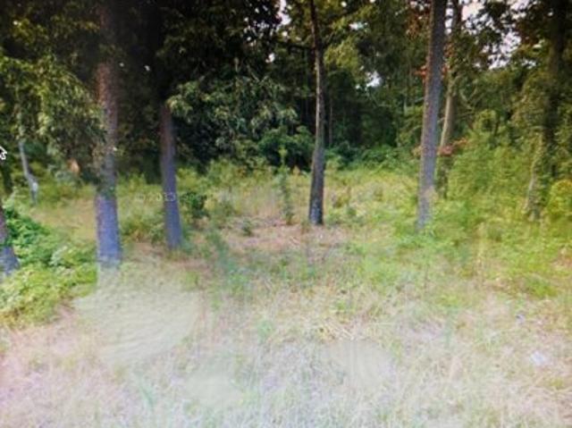 Land for sale in Millsboro