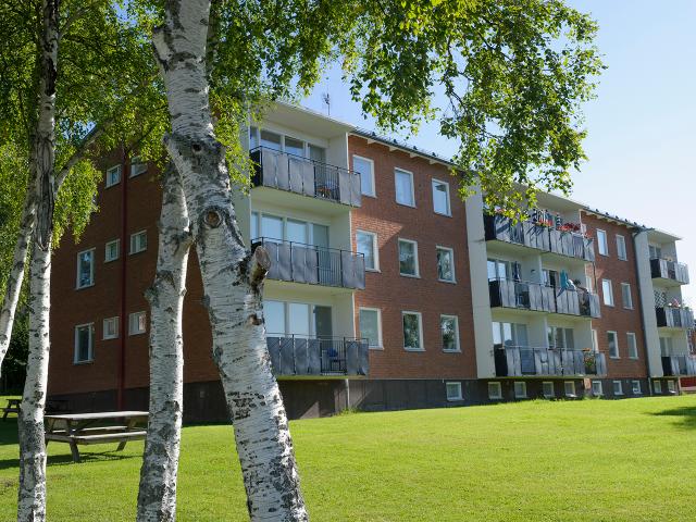 Lägenhet hyra i Brunflo, Jämtland