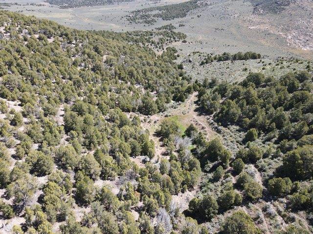 Land for sale in Dinosaur, Colorado