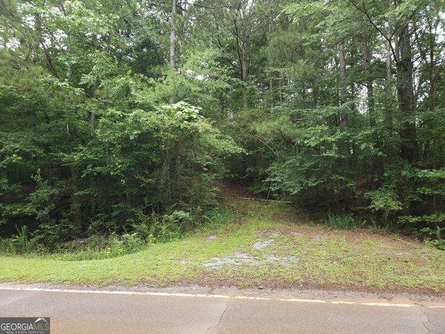 Land for sale in Cedartown, Polk County