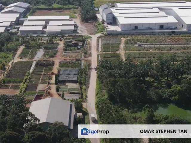 Warehouse for sale in Muar, Johor