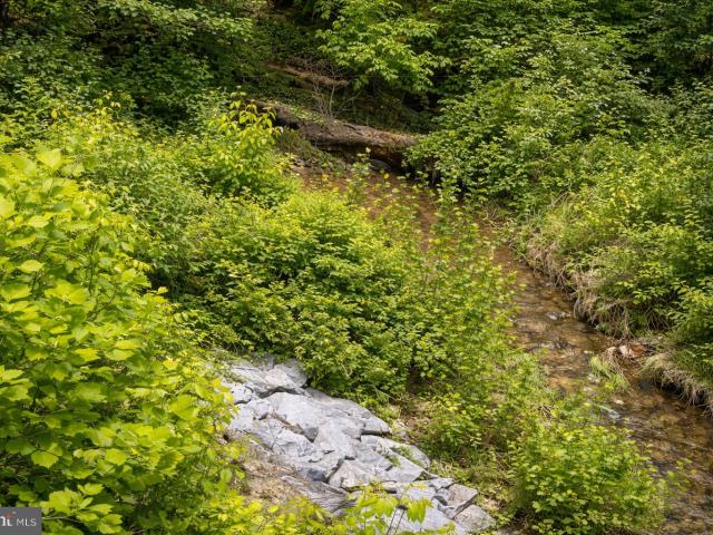 Land for sale in Brunswick, Maryland