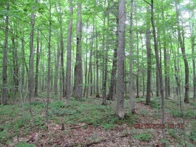 Land for sale in Madrid, New York
