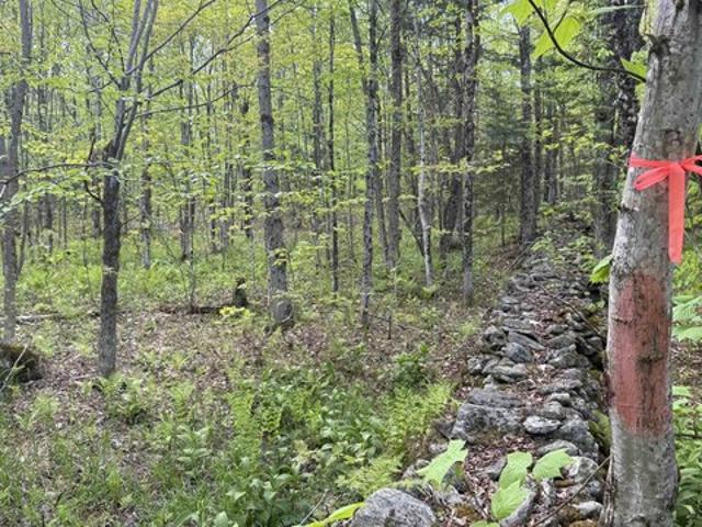 Land for sale in Lowell, Vermont
