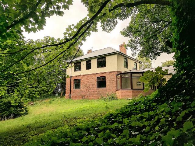 House for rent