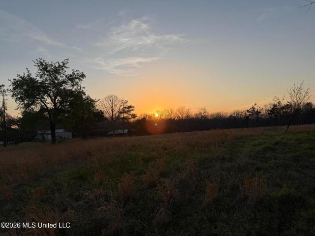 Land for sale in Potts Camp, Mississippi