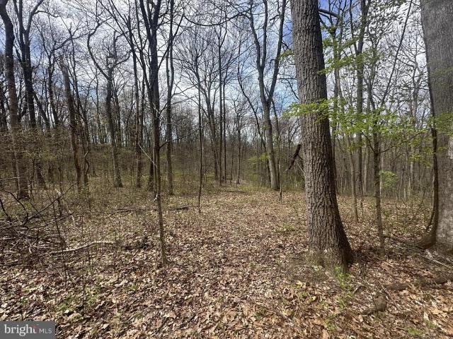 Land for sale in East Nantmeal Township, Chester County