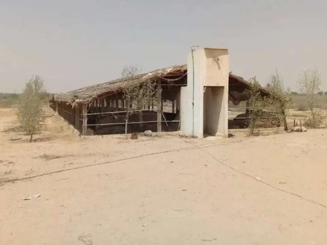 Land for sale in North Waziristan, Federally Administered Tribal Areas fata