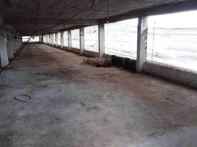 Land for rent in ایبٹ آباد, ہزارہ ڈویژن
