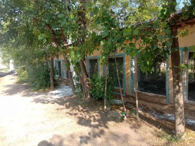 Commercial for rent in Charsadda, North West Frontier Province