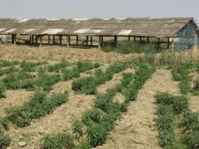 Land for rent in Federally Administered Tribal Areas fata