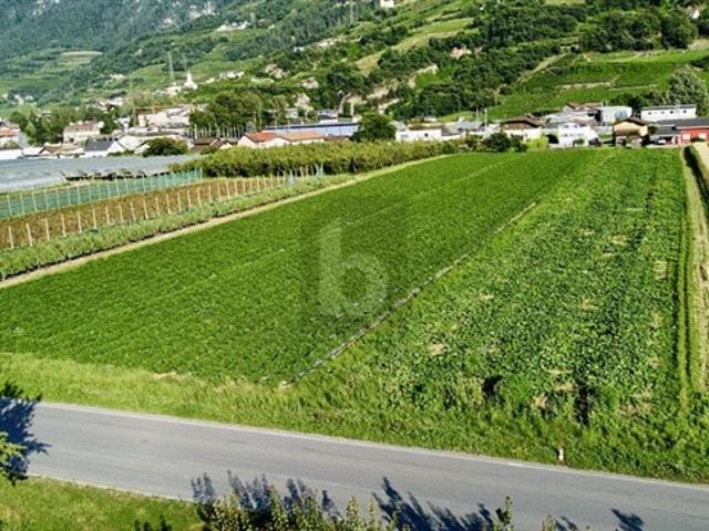 Wohnung kaufen in Saxon, Wallis