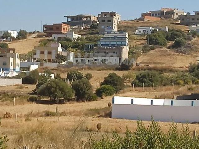 Propriété vente à El Fahs, Tanger-Tétouan