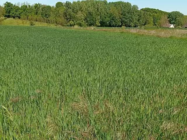 Terrain vente à Auxerre, Pourrain
