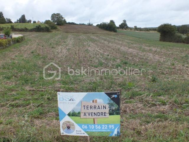 Terrain vente à Auxerre, Pourrain