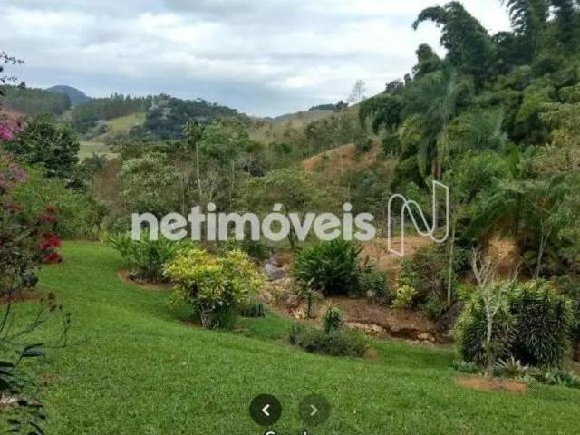 Sítio e chácara venda em Região Geográfica Imediata de Muriaé, Muriaé
