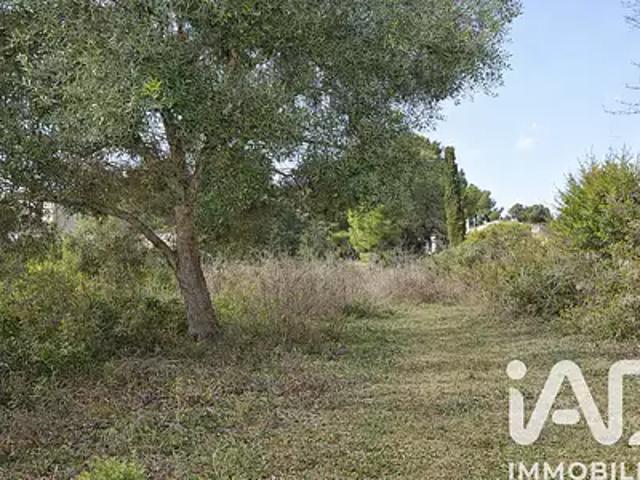 Terrain vente à Montpellier, Poussan